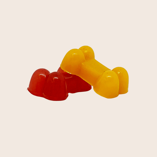 Pet Treat Molds