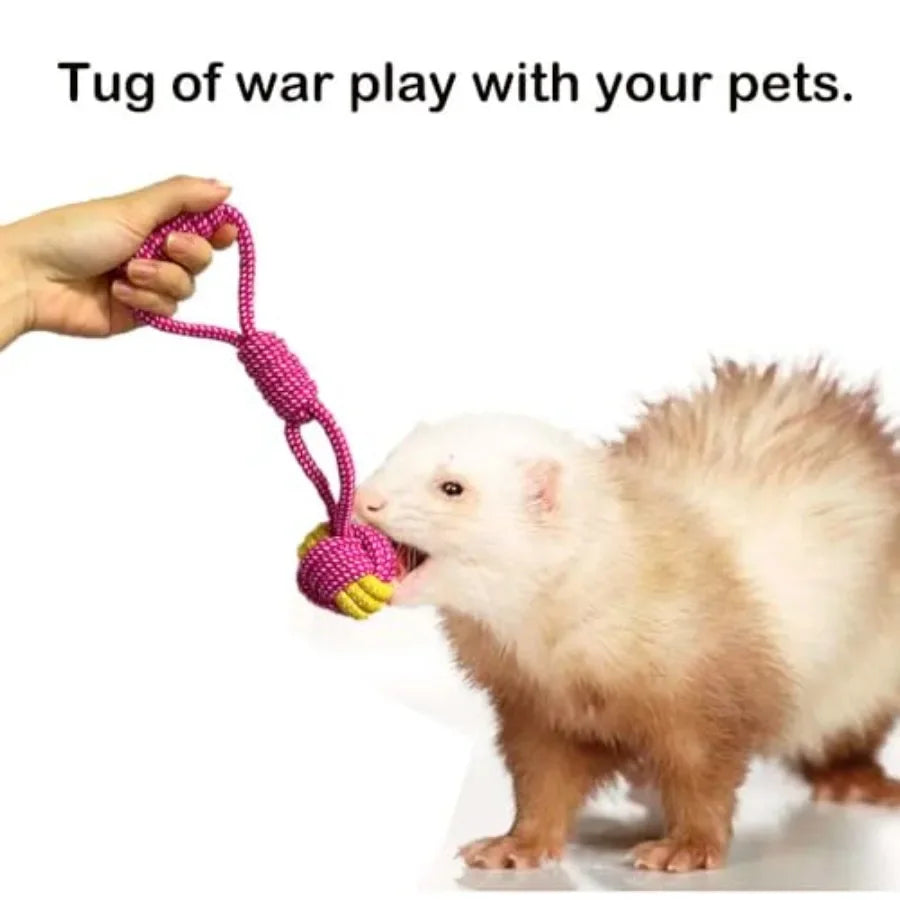 6 Pack Ferret Chew Toys Ferret Bell Ba Squeaker Toys Squeak Toy Teething Pet Toy Durable Knotted Tug of war Toy Cotton Chew Toy