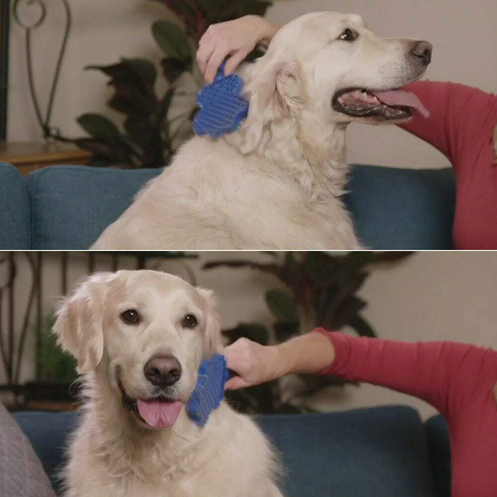 Groom Glider Pet Hair Removal Brush for Cats and Dogs